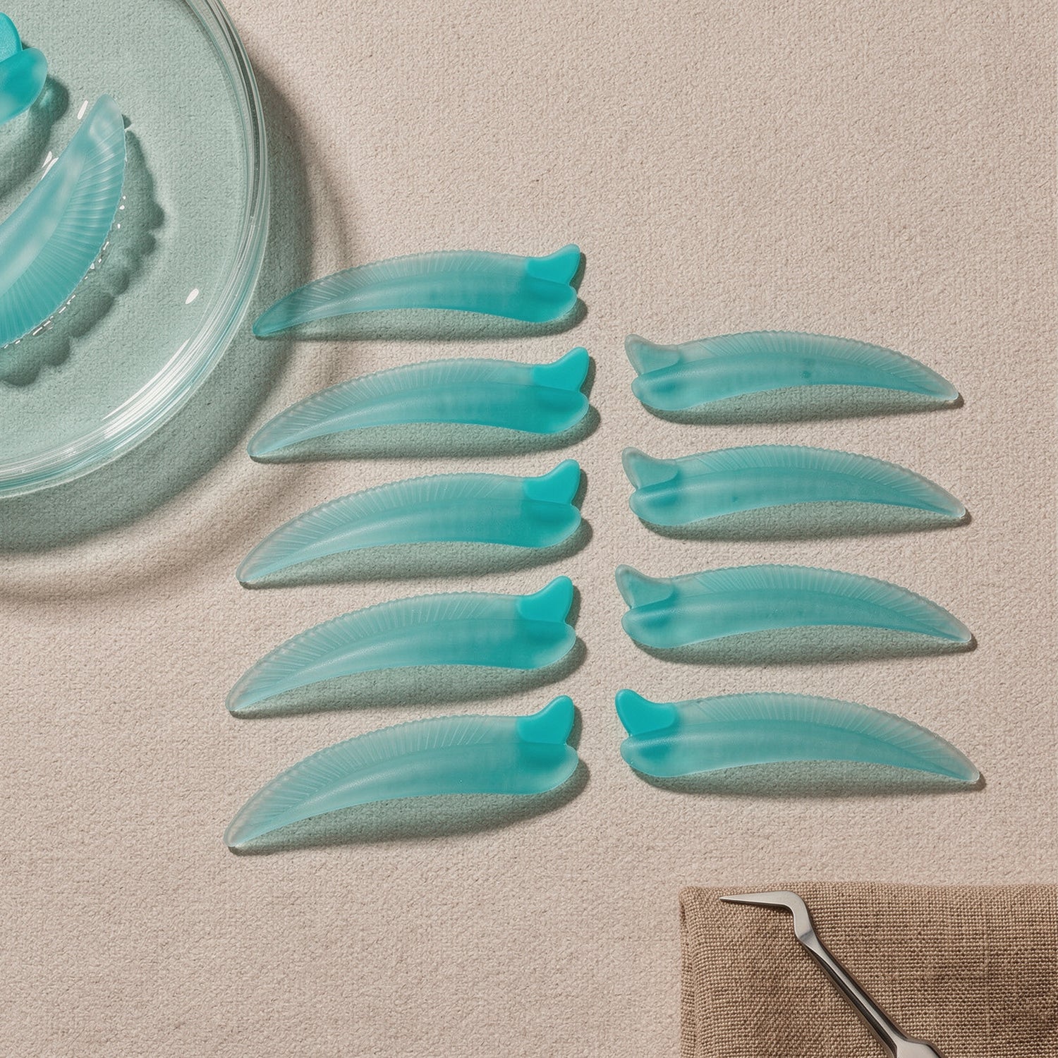 Korean Lash lift spole Dolphin