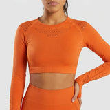 Mesh Crop Top / Orange
