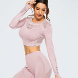 Mesh Crop Top / Puderrosa
