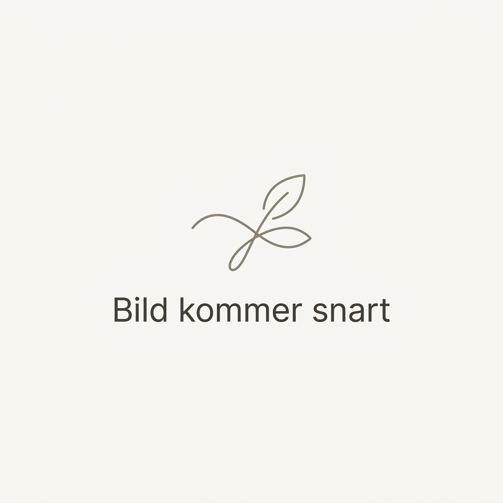 Bild kommer snart