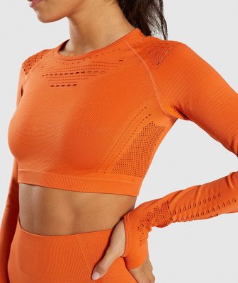 Orange mesh crop top med seamless teknologi, långa ärmar och andningsbara meshdetaljer vid hals och axlar.